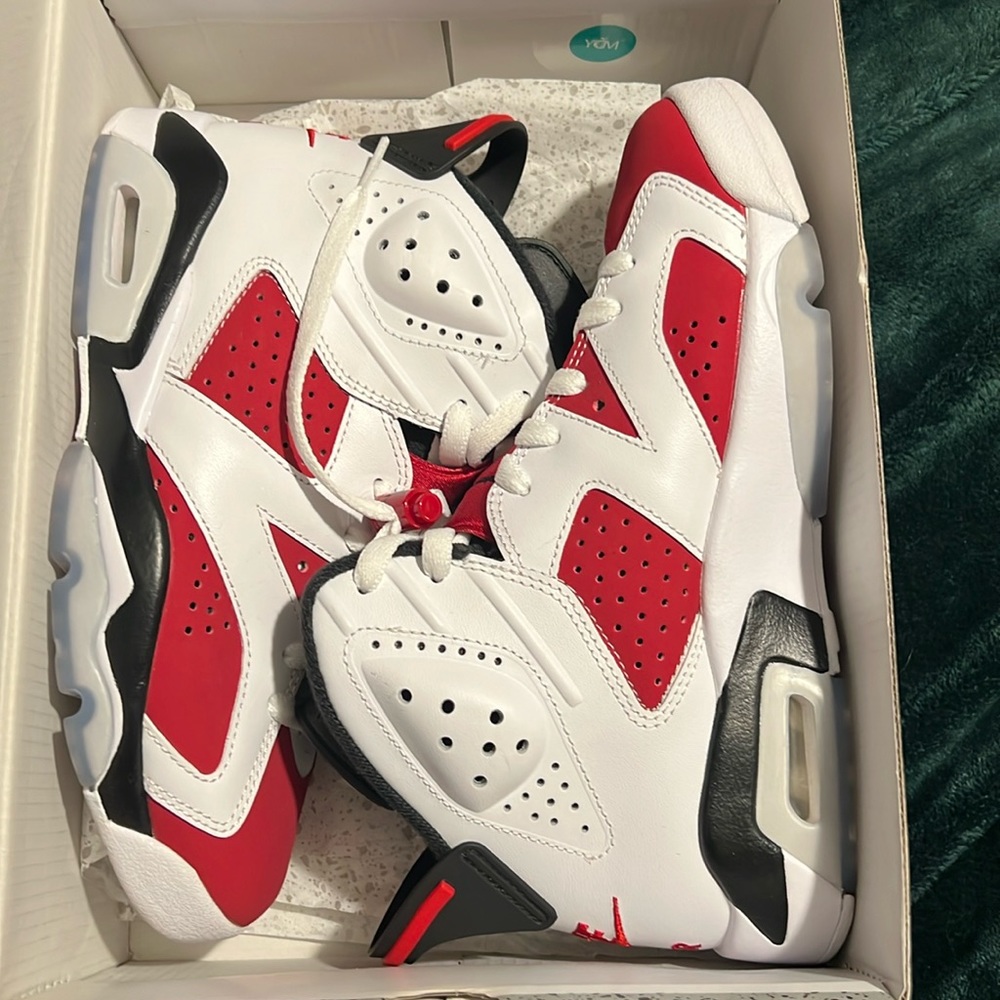 Jordan 6 Carmines 2021